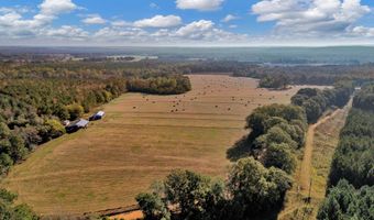 0 County Road 127, Banks, AL 36005