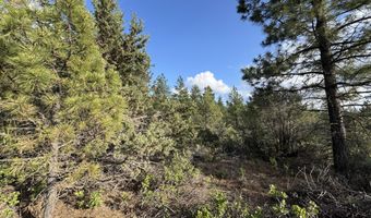 Lot 14 Grizzly Lane, Bonanza, OR 97623