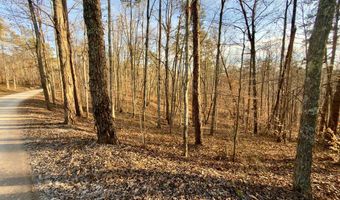 Muddy Ridge Rd, Adams, KY 41201