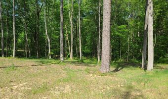 170 Bakers Chapel Church Rd, Big Sandy, TN 38221
