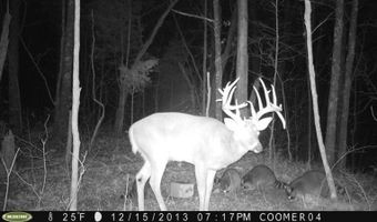 2291 Blankey Branch Rd, Beattyville, KY 41311