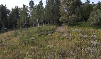 PINE Street lot 4, Alpine, WY 83128