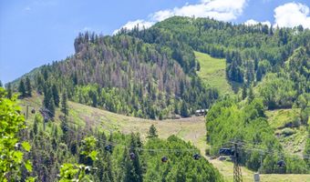 731 E Durant Ave Unit 21, Aspen, CO 81611