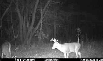 0 W Captina Highway Rd, Alledonia, OH 43902