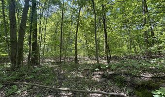 V/L 43.5A 104th Avenue, Allegan, MI 49010
