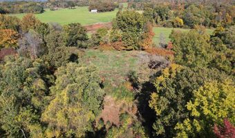 451 County Road 1320, Bardwell, KY 42023