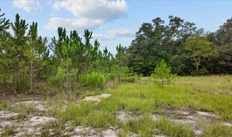 3670 25th Cir, Bell, FL 32619