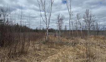 Township Road 5743, Alborn, MN 55702