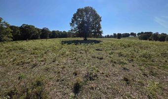 3013-3015 Possum Trot Rd, Ash Flat, AR 72513