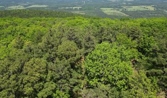 TR 18 & 19 LONG CREEK PASS, Albion, OK 74571