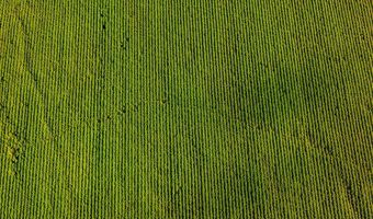 1037 Cr 300, Big Creek, MS 38914