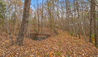 197 Old Homestead Rd, Big Sandy, TN 38221