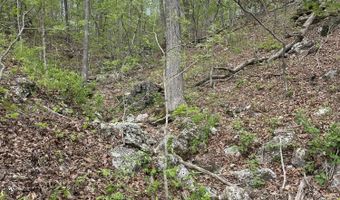 State Hwy N Tract G, Ava, MO 65608