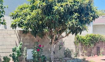 1809 S 5th St, Alhambra, CA 91803