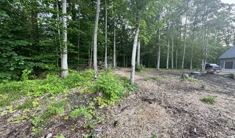 3206 HIDDEN RIDGE Rd, Alanson, MI 49706