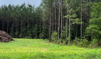 parcel 1 county road 6629, Banks, AL 36005