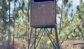 100 Doc Hunter Rd, Baxley, GA 31513