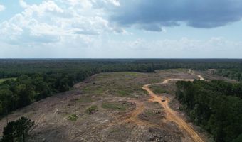 SE Cole Drive, Bogue Chitto, MS 39629