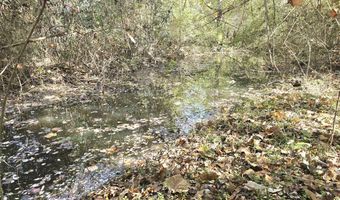 1228 River Rd, Ariton, AL 36311