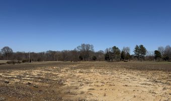 2966 N U.S. 412, Alamo, TN 38001