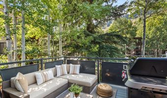 124 E Durant Ave 1, Aspen, CO 81611