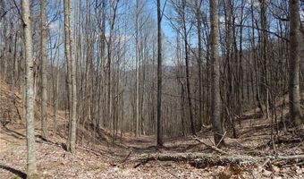 Gentry Farm Road, Aurora, NC 28743