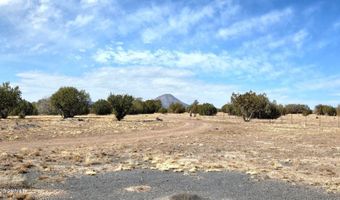 8495 W Antelope Run Rd, Ash Fork, AZ 86320
