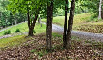 88 Cherry Ln, Arbovale, WV 24915