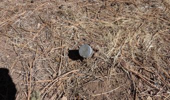 8 B County Road 2267 Escudilla Rd, Alpine, AZ 85920