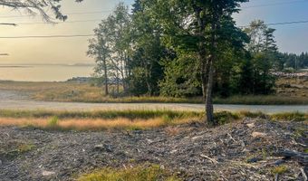 Lot 9-1 Black Duck Cove Road, Beals, ME 04611