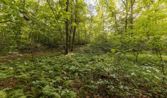 0 Brooksie Thompson Rd, Bath Springs, TN 38311