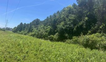 HIGHWAY 431 lot 0, Alexandria, AL 36250