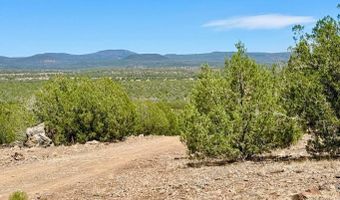 Stagecoach Dr 47 Acres, Ash Fork, AZ 86320