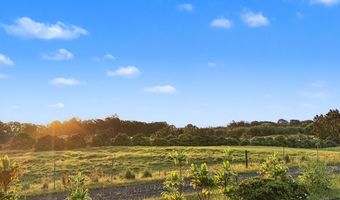 29-609 CHIN CHUCK Rd, Hakalau, HI 96710