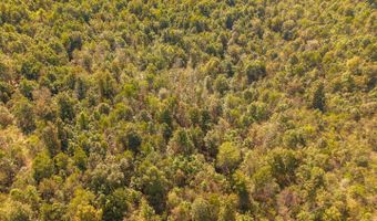 County Road 204, Alton, MO 65606