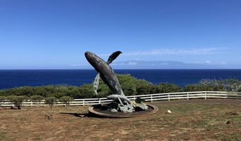56-2951 PUAKEA BAY Dr, Hawi, HI 96719