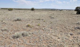 22 Antelope Ave, Concho, AZ 85924