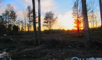 3 Razorback Way, Albertville, AL 35951