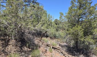 450 Arizona Rd, Ash Fork, AZ 86320