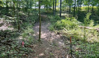 002 Maxey Rd, Arcadia, MI 49613