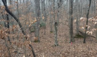 HARDWARE RD lot 1, Arvonia, VA 23004