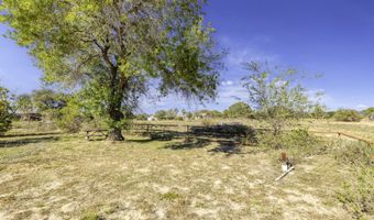 171 Big Oak Dr, Adkins, TX 78101