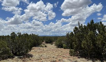 Tbd County Road 8309, Concho, AZ 85924