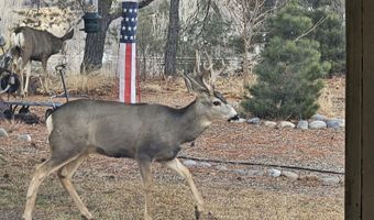 261 ROAD 5500, Bloomfield, NM 87413