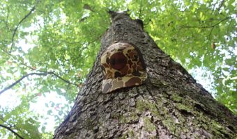 NE Greenhill Trail, Brookhaven, MS 39601