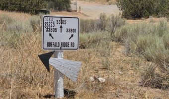 33805 Buffalo Ridge Rd, Acton, CA 93510
