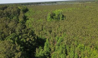 Colice Hall Lane, Ahoskie, NC 27910