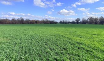 0001 CR-290, Asbury, MO 64832
