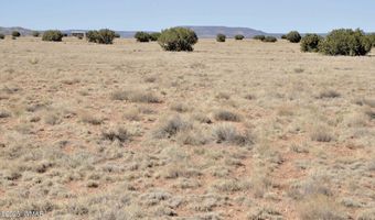 14 CR 5525, Concho, AZ 85924