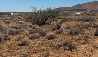 308-12 514 N Colorado Rd, Chloride, AZ 86431